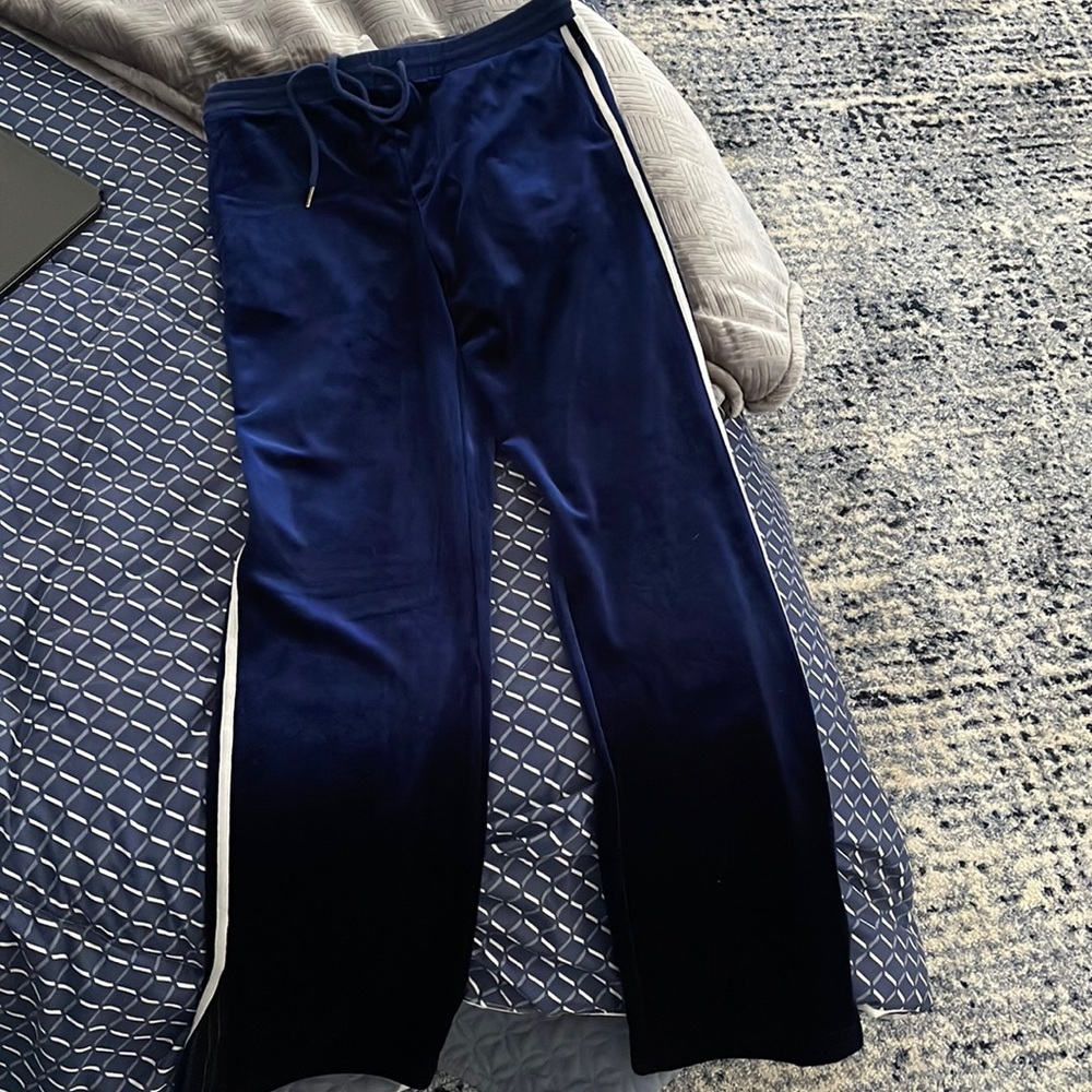 Velvet blue sweatpants worn once